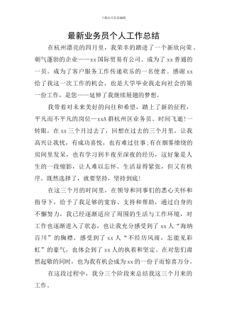 最新业务员个人工作总结