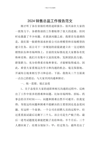 2024销售总监工作报告范文