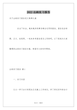 2024出纳实习报告_28
