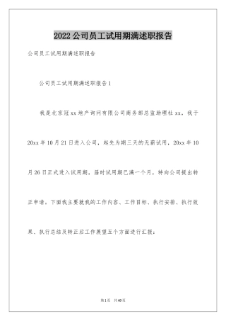 2024公司员工试用期满述职报告_5