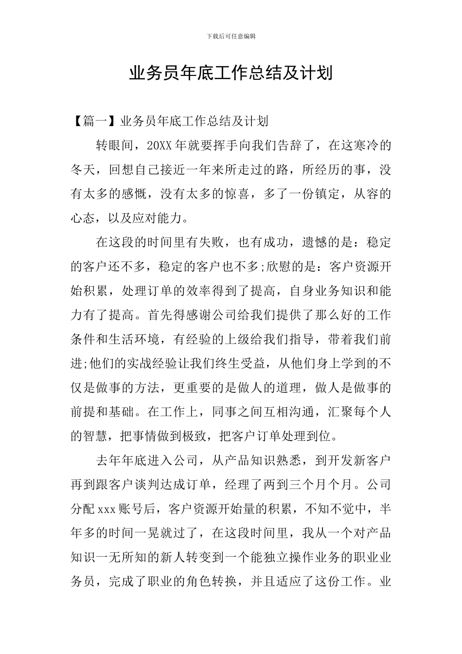 业务员年底工作总结及计划_第1页