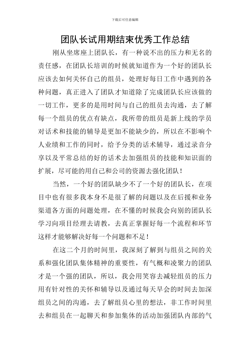 团队长试用期结束优秀工作总结_第1页