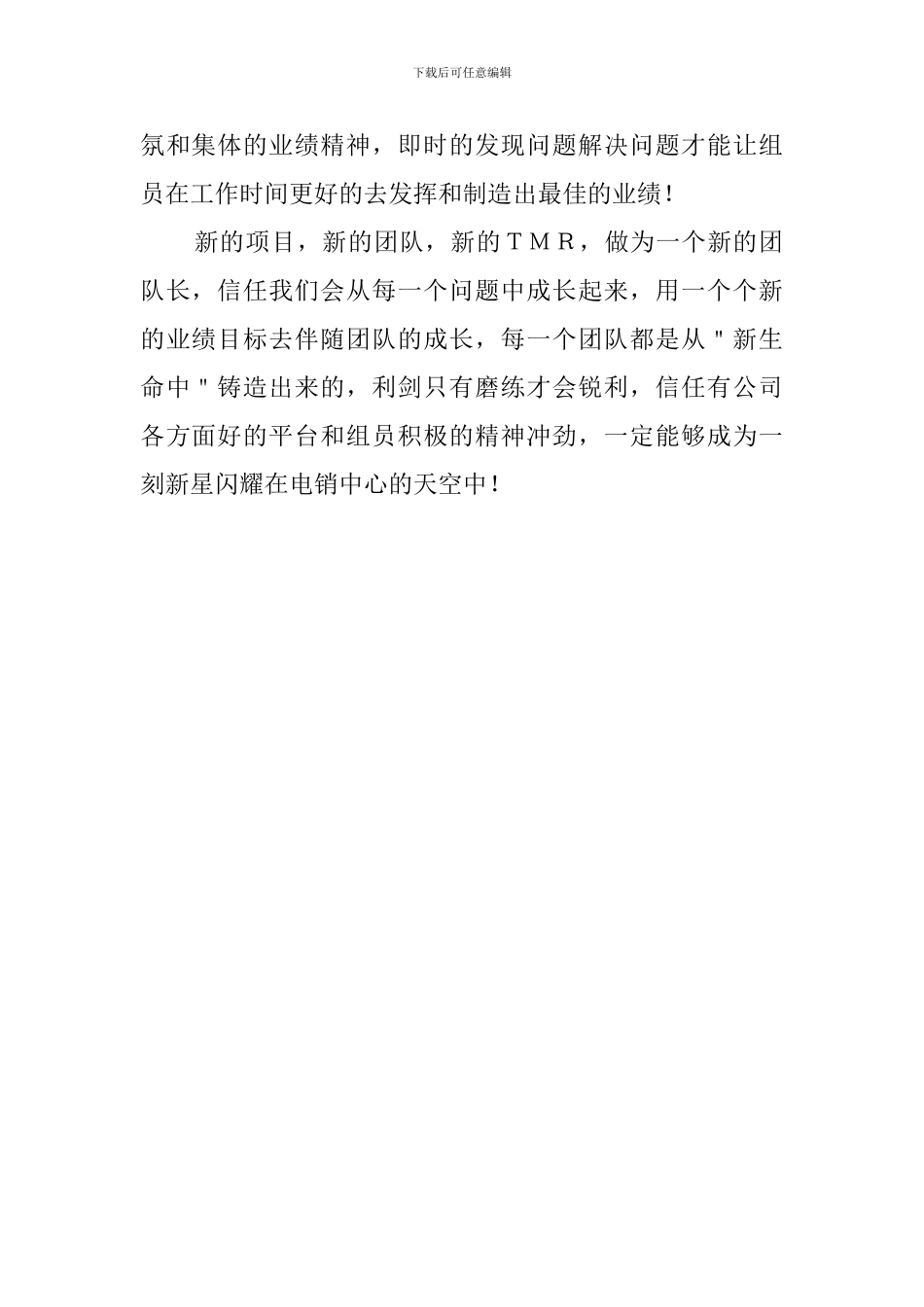 团队长试用期结束优秀工作总结_第2页