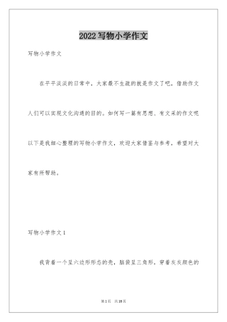 2024写物小学作文_3