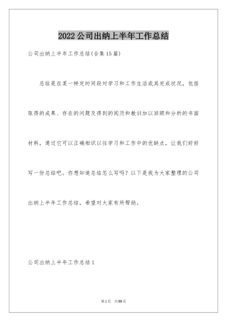 2024公司出纳上半年工作总结