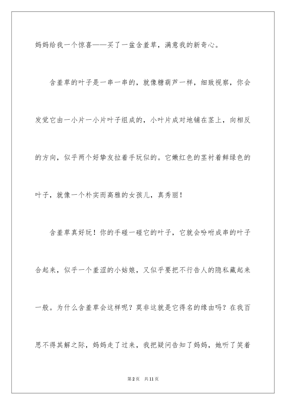 2024发现植物作文_1_第2页