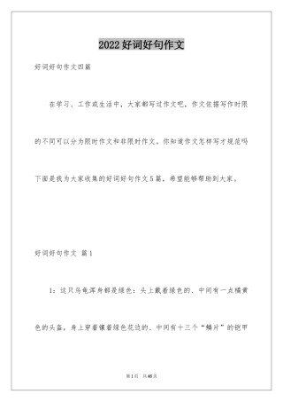 2024好词好句作文_44