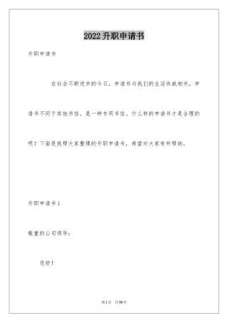 2024升职申请书_73