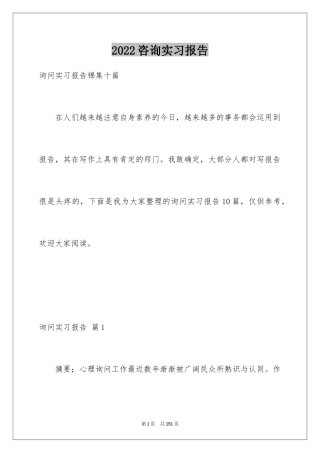 2024咨询实习报告_2