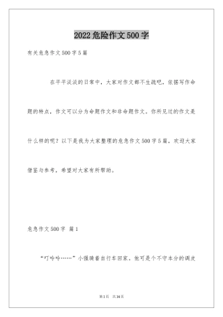 2024危险作文500字