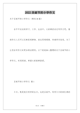 2024圣诞节的小学作文
