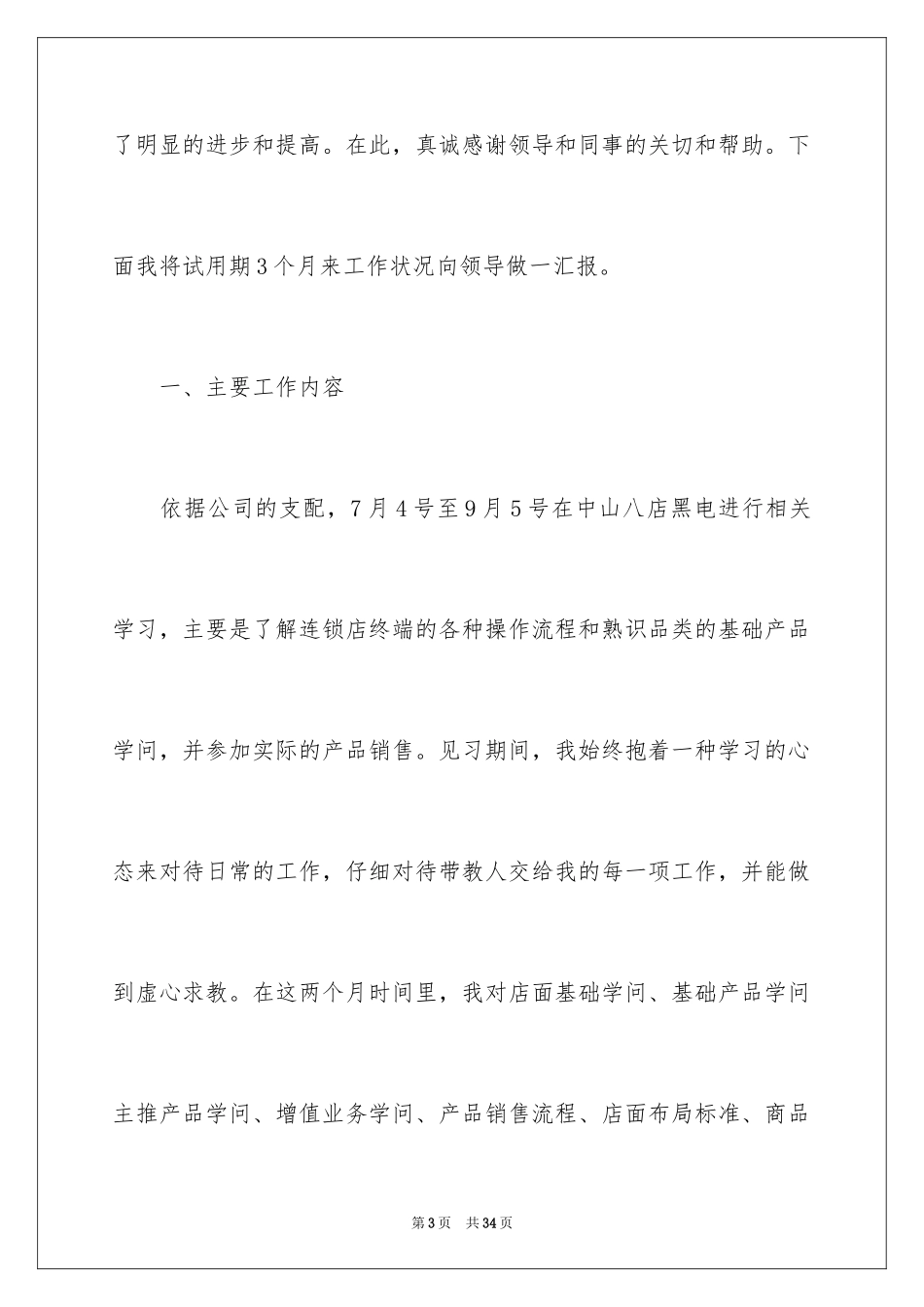 2024国美试用期工作总结_第3页