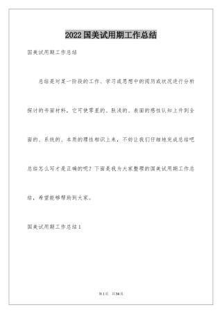 2024国美试用期工作总结