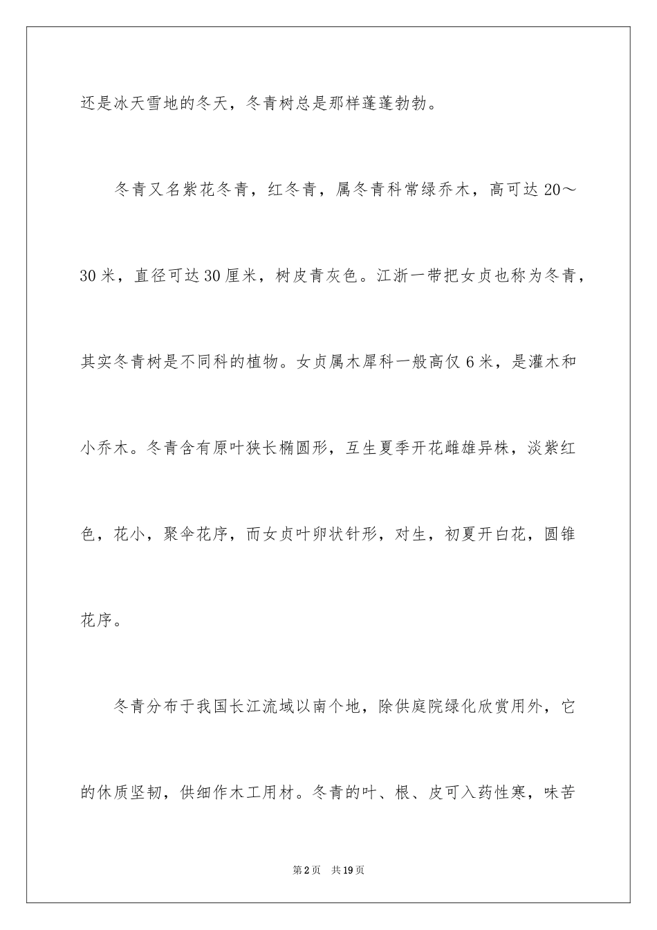 2024冬青作文300字_29_第2页