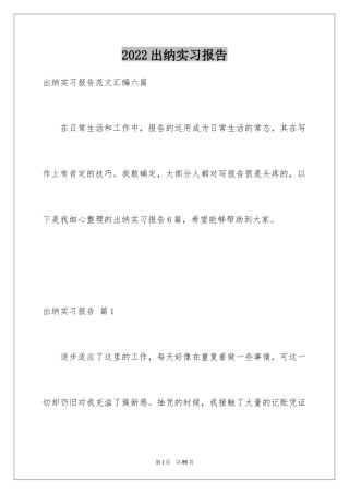 2024出纳实习报告_16