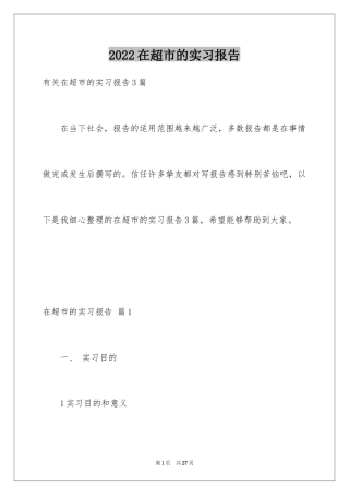 2024在超市的实习报告_7