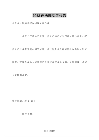 2024在法院实习报告_13