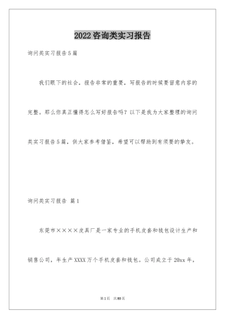 2024咨询类实习报告_3