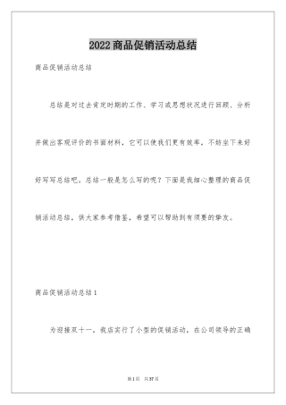 2024商品促销活动总结_1