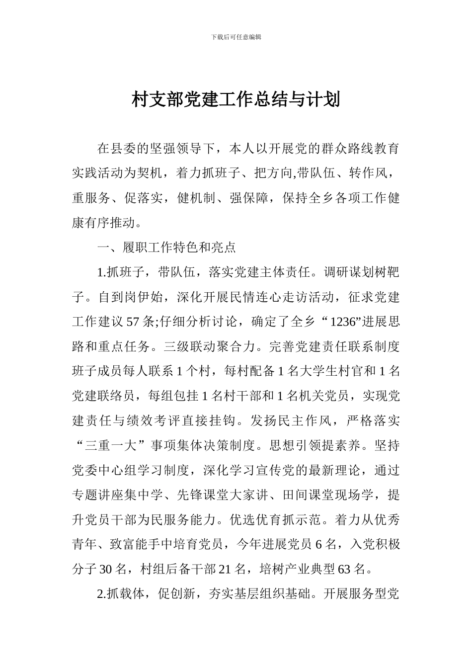 村支部党建工作总结与计划_第1页