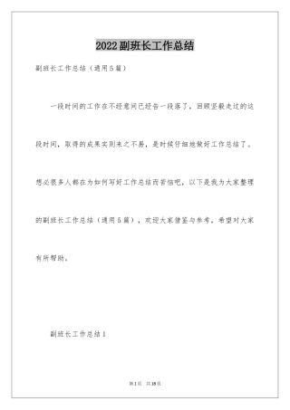2024副班长工作总结_2