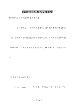 2024元旦见闻作文200字
