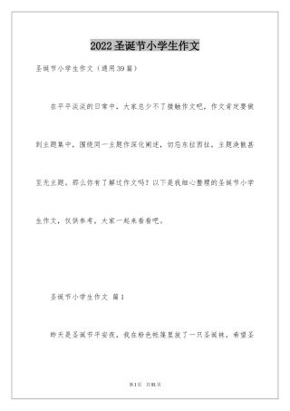 2024圣诞节小学生作文
