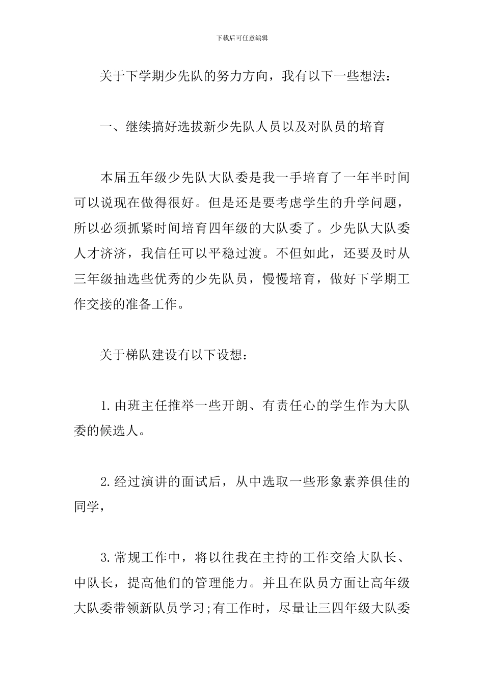 少先大队辅导员工作计划_第2页