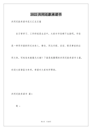 2024共同还款承诺书_22