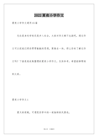 2024夏夜小学作文_1