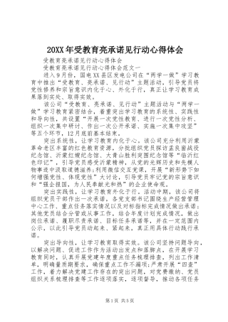 20XX年受教育亮承诺见行动心得体会 (3)