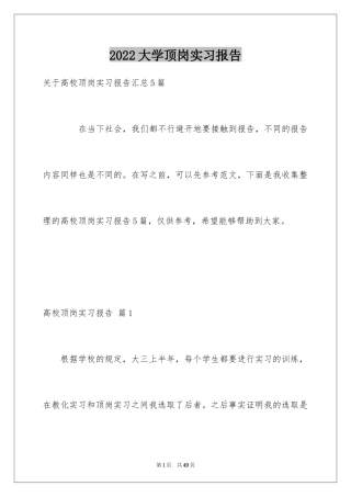 2024大学顶岗实习报告_6