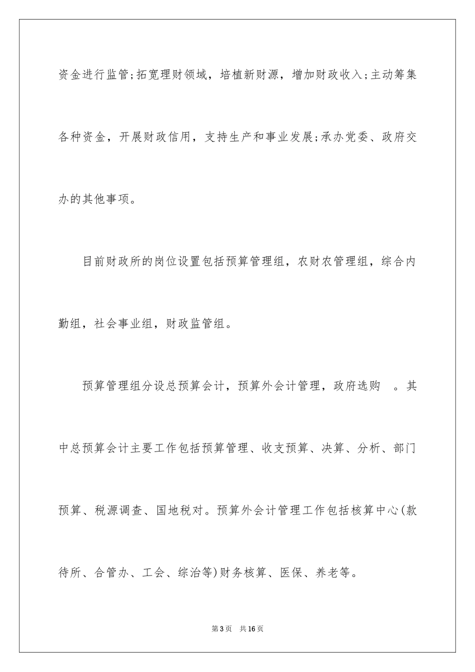 2024大学生暑假社会实践报告：财政所实_第3页