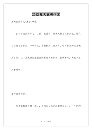 2024夏天真美作文