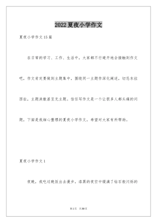 2024夏夜小学作文_6