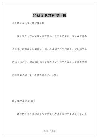 2024团队精神演讲稿_295