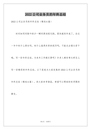 2024公司业务员的年终总结