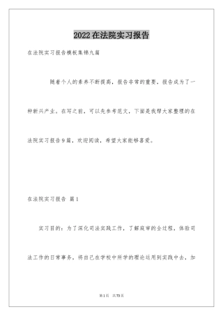2024在法院实习报告_12