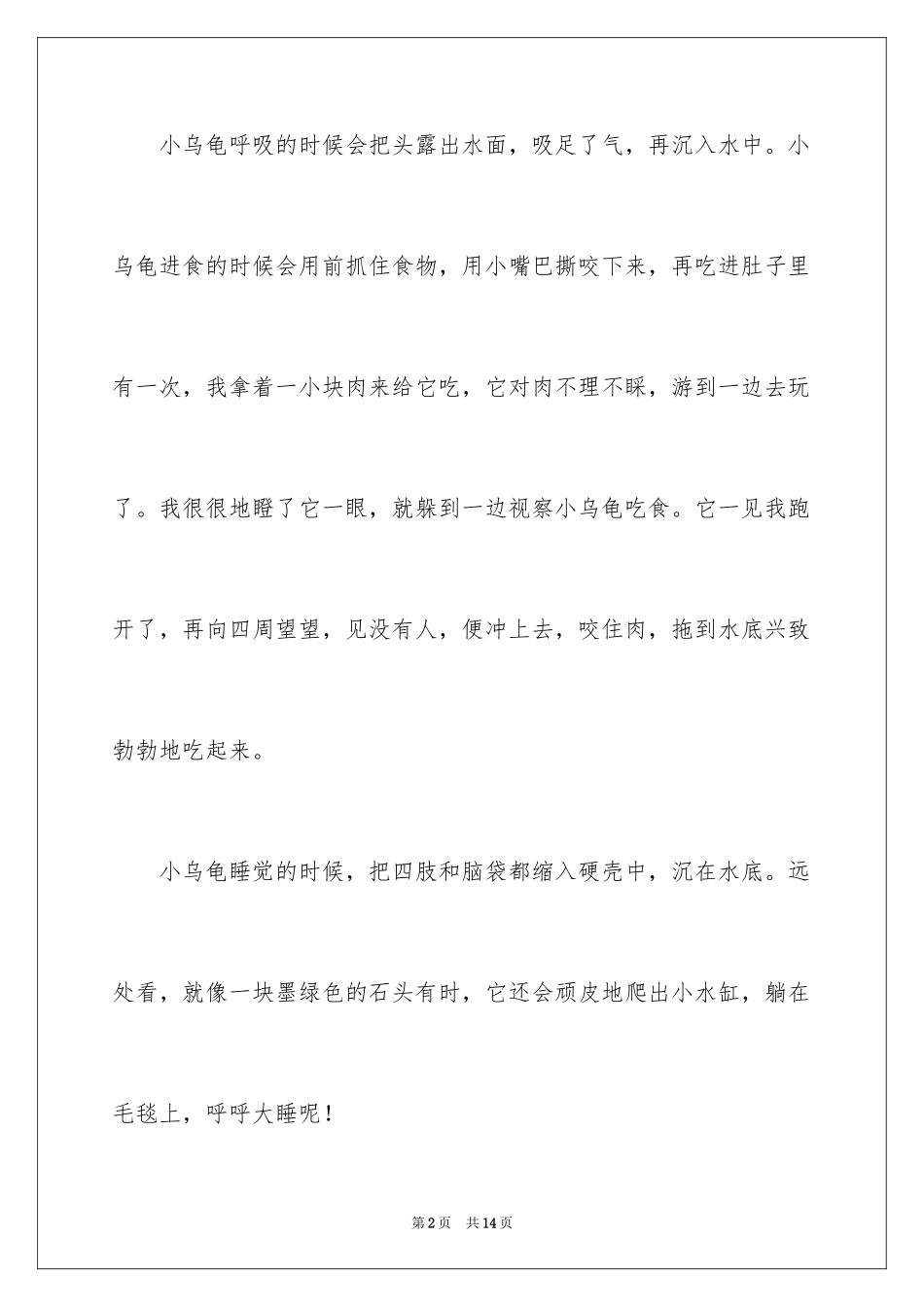 2024可爱的小乌龟记叙文_1_第2页