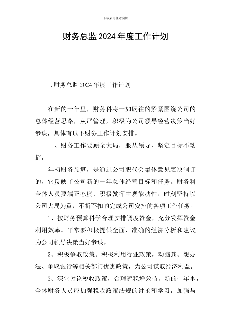 财务总监2024年度工作计划_第1页