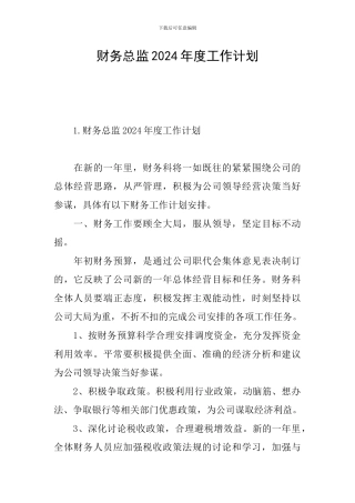 财务总监2024年度工作计划