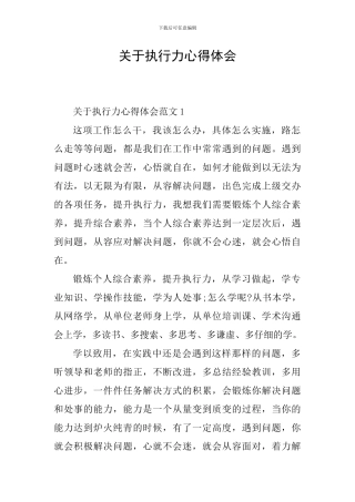 关于执行力心得体会