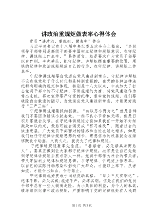 讲政治重规矩做表率心得体会_1