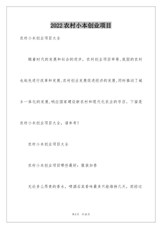 2024农村小本创业项目