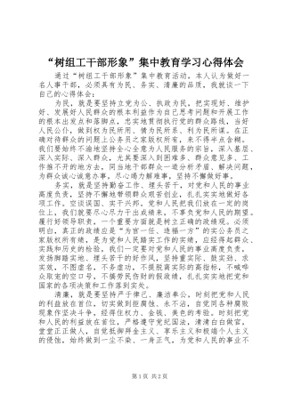 “树组工干部形象”集中教育学习心得体会