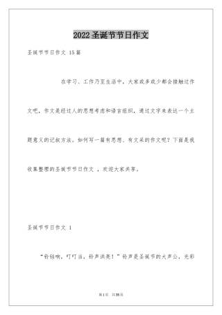 2024圣诞节节日作文 