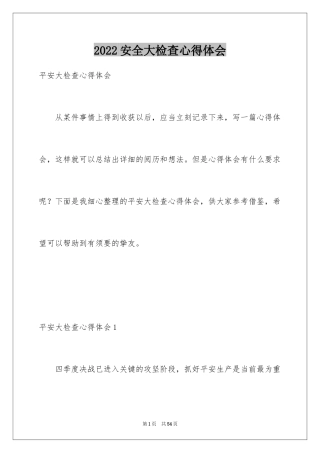 2024安全大检查心得体会_1