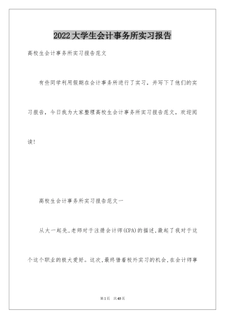 2024大学生会计事务所实习报告