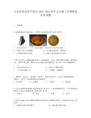 山东省青岛市平度市2022-2023学年七年级上学期期末历史试题 