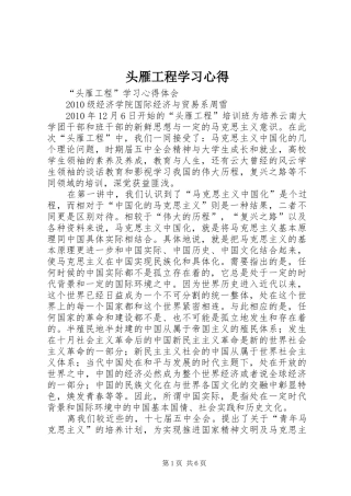 头雁工程学习心得